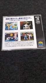 NEOGEO Software Art of Fighting Model Art of Fighting SNK