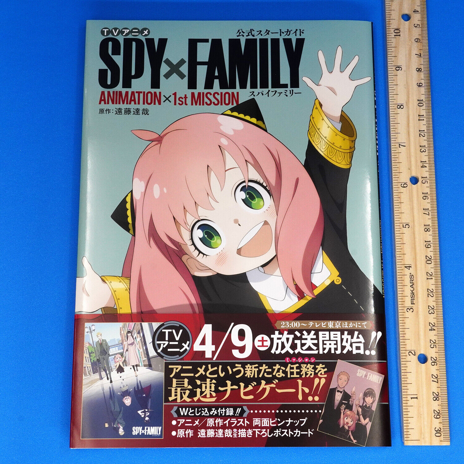 Spy x Family - SPY x FAMILY TV Anime new visual!