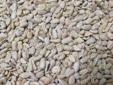 Chubby Sunflower Hearts For Wild Birds 20kg 1.80 per kilo