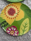 Crate & Barrel (2) Pair Plastic Plates Reusable Dishwasher Safe Indoor Outdoor — photo 2
