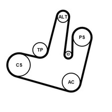 CONTINENTAL CTAM KEILRIPPENRIEMEN-SATZ passend für AUDI A4 A5 A6 Q5 | 6PK1264K1