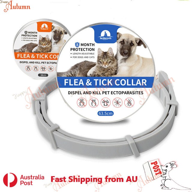 coles flea collar