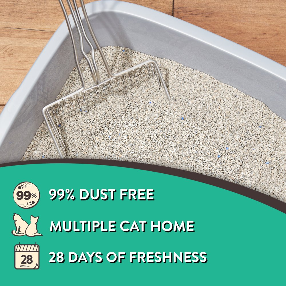 Special Kitty Odor Control Tight Clumping Cat Litter, Fresh Scent, 20 ...