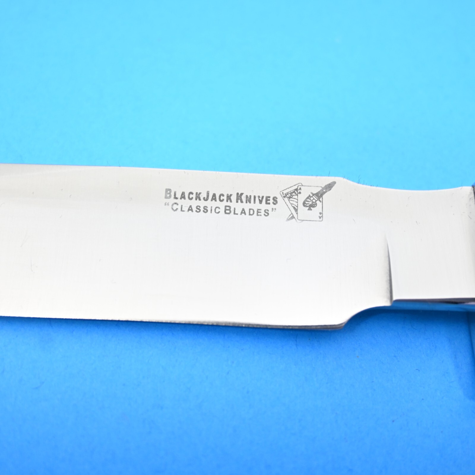 BLACKJACK KNIVES CLASSIC BLADES MODEL 17 IVORY MICARTA TURQUOISE