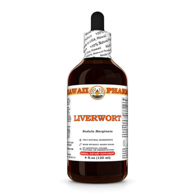 Liverwort (Radula Marginata) Dried Herb Liquid Herbal Extract