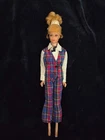 1970s Vtg Growing Pretty Hair Francie Doll  (missing long hair piece)