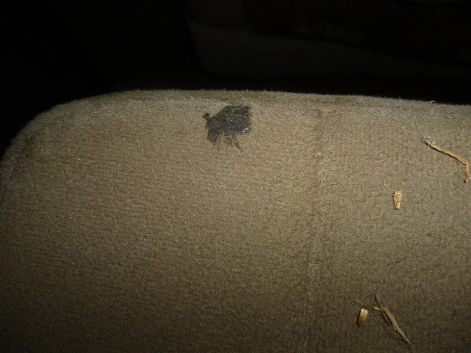 Segunda fila asiento lado conductor tela bronceada Dodge Grand Caravan Chrysler Town & Counter Foto 3 de 3