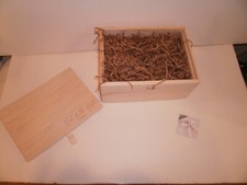 Pine Wood Gift Box  10 x 7 1/4 x 4 1/2 w shre...