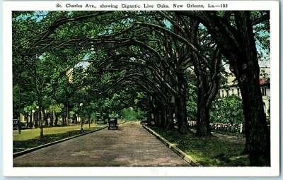St Charles Ave Mit Lebenden Eichen New Orleans Mit Alten Autos Postkarte