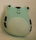 Squishmallow Frog 5 Inch Soft Stuffed Toy 2024 (No Hang Tags) — photo 1