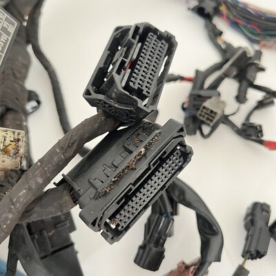 18 2016-2020 Triumph Street Twin 900 Wiring Loom Wire