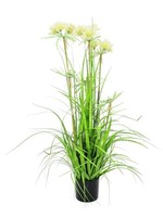 Artplants Deko Sterngras, 6 Rispen, 120Cm