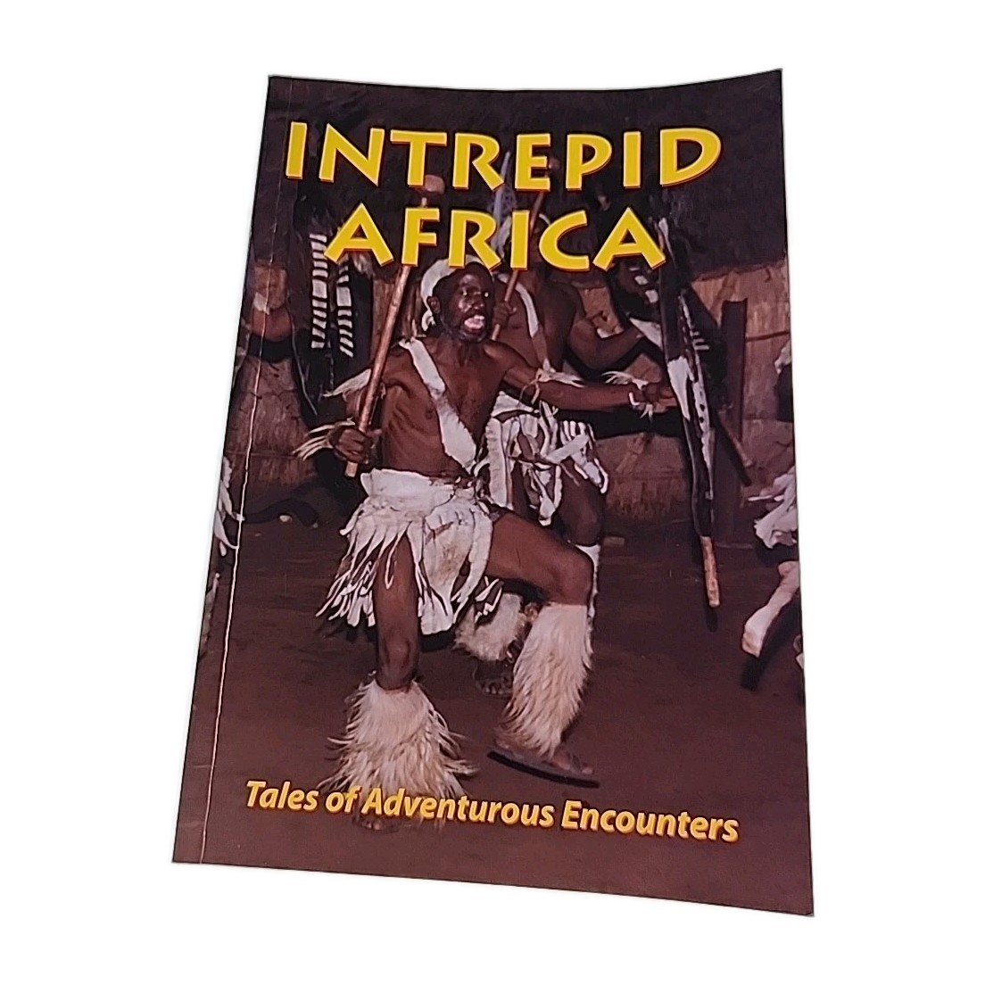 Intrepid Africa 2001 Paperback Book