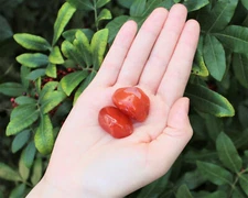 2 Carnelian Tumbled Stones, Medium (Crystal Healing Gemstone Reiki) US Seller