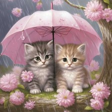 Diamond Art Painting Kits for Adults Cat, Round Full Drill Diamond Art Kits, 5D