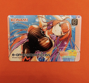 E Amusement Pass | eBay