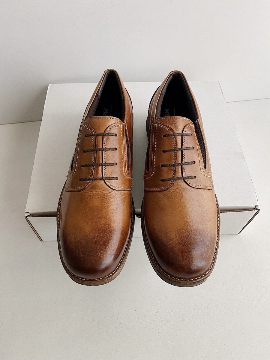 ✨New SANDRO MOSCOLONI Felix 4 Eyelet Plain Tan Leather 