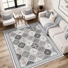 Area Rugs 5x7, Washable Rugs for Living Room, Soft Non-Slip Boho Moroccan Rug...