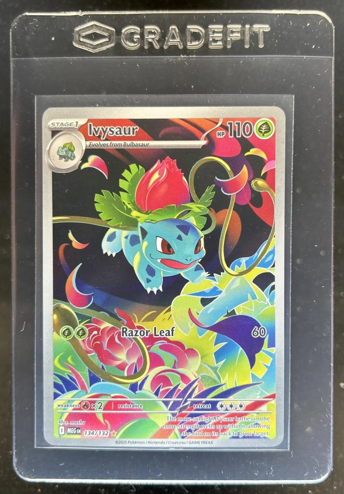 2025 Pokemon Mega Evolution Ivysaur Illustration Rare #134/132