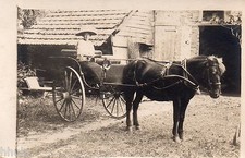 BL703 Carte Photo vintage card RPPC Femme voiture à cheval charrette chariot