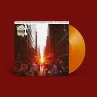 Fucked Up - Chemistry Of Common Life - Vinyl Record 12 Record - E1111Z