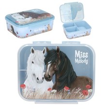 Miss Melody Lunch Box blue horse lunchbox horses food container plastic boxes