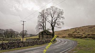 Photo 6x4 Tree and ruin at Gearstone Ribble Head/SD7779  c2016