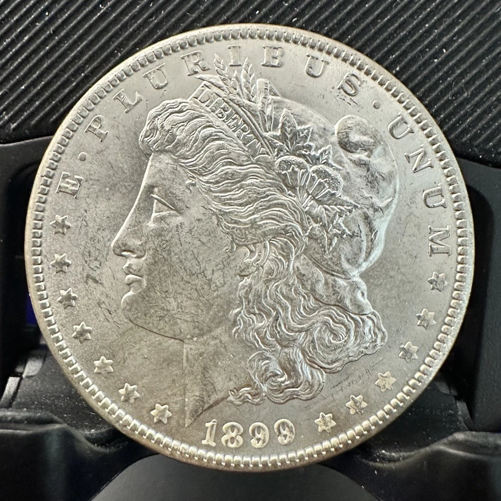 New Orleans Silver 1899 Year Morgan US Dollars (1878-1921) for