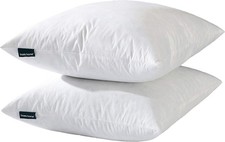 Decorative Throw Pillow Inserts 18x18 White Feather Down Pillow Set of 2