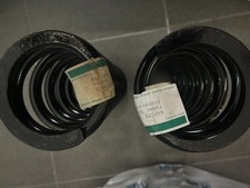 Federn Hinterachse Triumph TR4 IRS-5-250-6