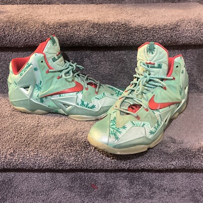 lebron 11 2013