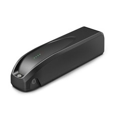 LionTec Batterie E-Bike 36V 10,4Ah Prophete Downtube Blaupunkt ZZ9810xx