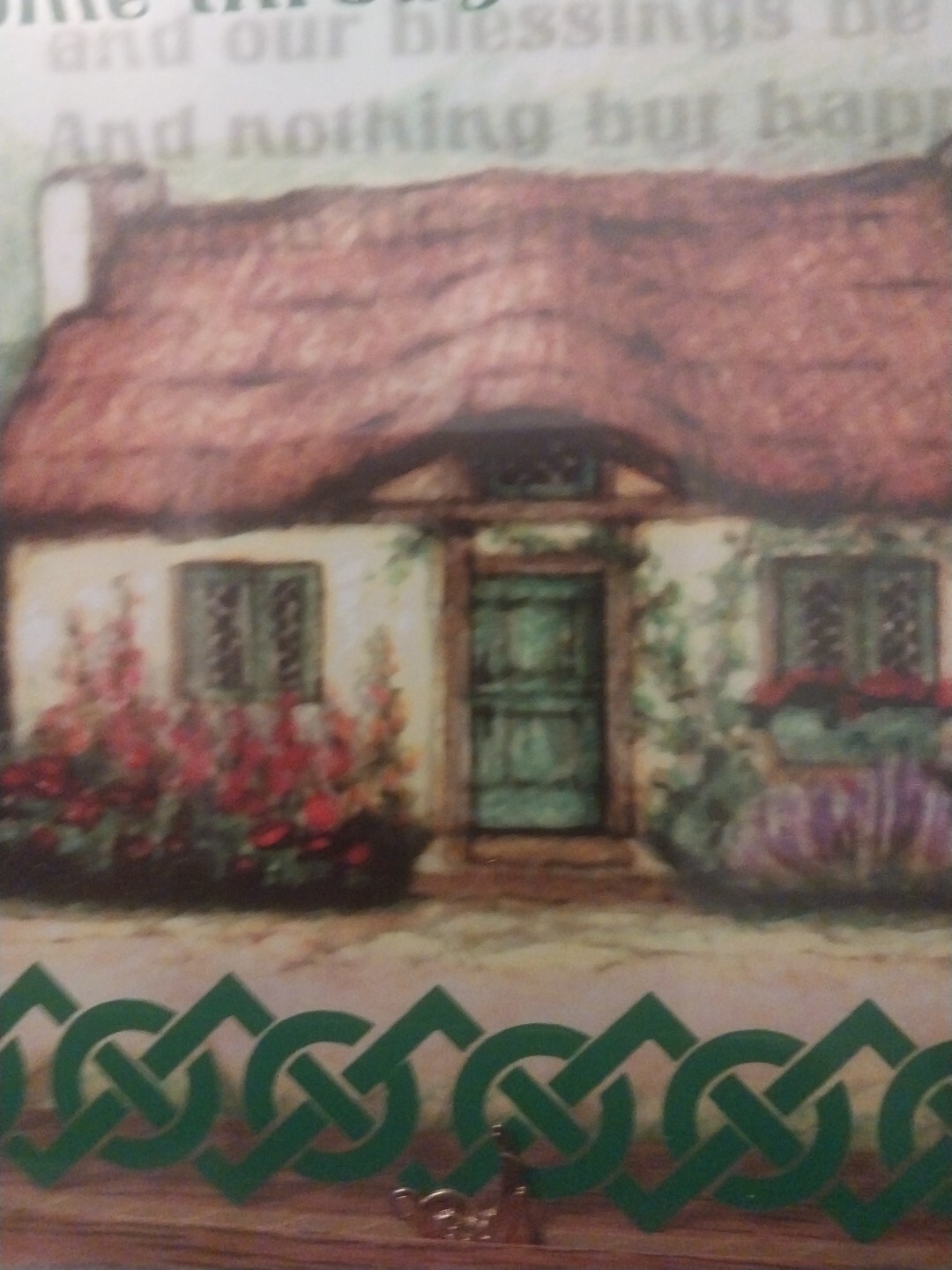 Foto 9 di 9