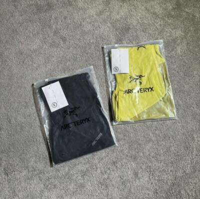 レアArc'teryxアークテリクス SYSTEM A Paltz Short Arc'teryx System A Paltz Short - Black - Size M | eBay