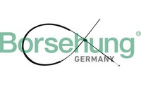 Motorhaubenzug Borsehung B10782 FüR Audi A6 C7 4G2 4GC Avant 4G5 4GD A7 4GA 4GF