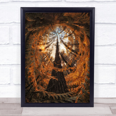 COP 21 Kiefernholz Farn Wald Fischauge Herbst Herbst Perspektive Sonne Wandkunstdruck