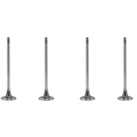 4X Einlassventil Set FüR Opel Vauxhall 1.6 55569934 R6893/SCR