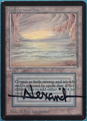 Underground Sea Beta PLD Land Rare SIGNED MAGIC MTG CARD (ID Underground Sea Beta PLD Land Rare SIGNED MAGIC MTG CARD (ID