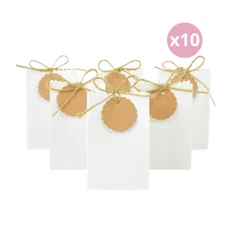 10 Pack Extra Small Favour Bag, Mini Gift Bags for Parties with tags, white Pape