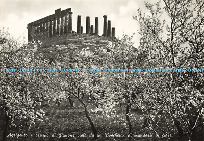 D176560 Agrigento. Tempio di Giunone Visto da un Boschetto di Mandorli in Fiore.
