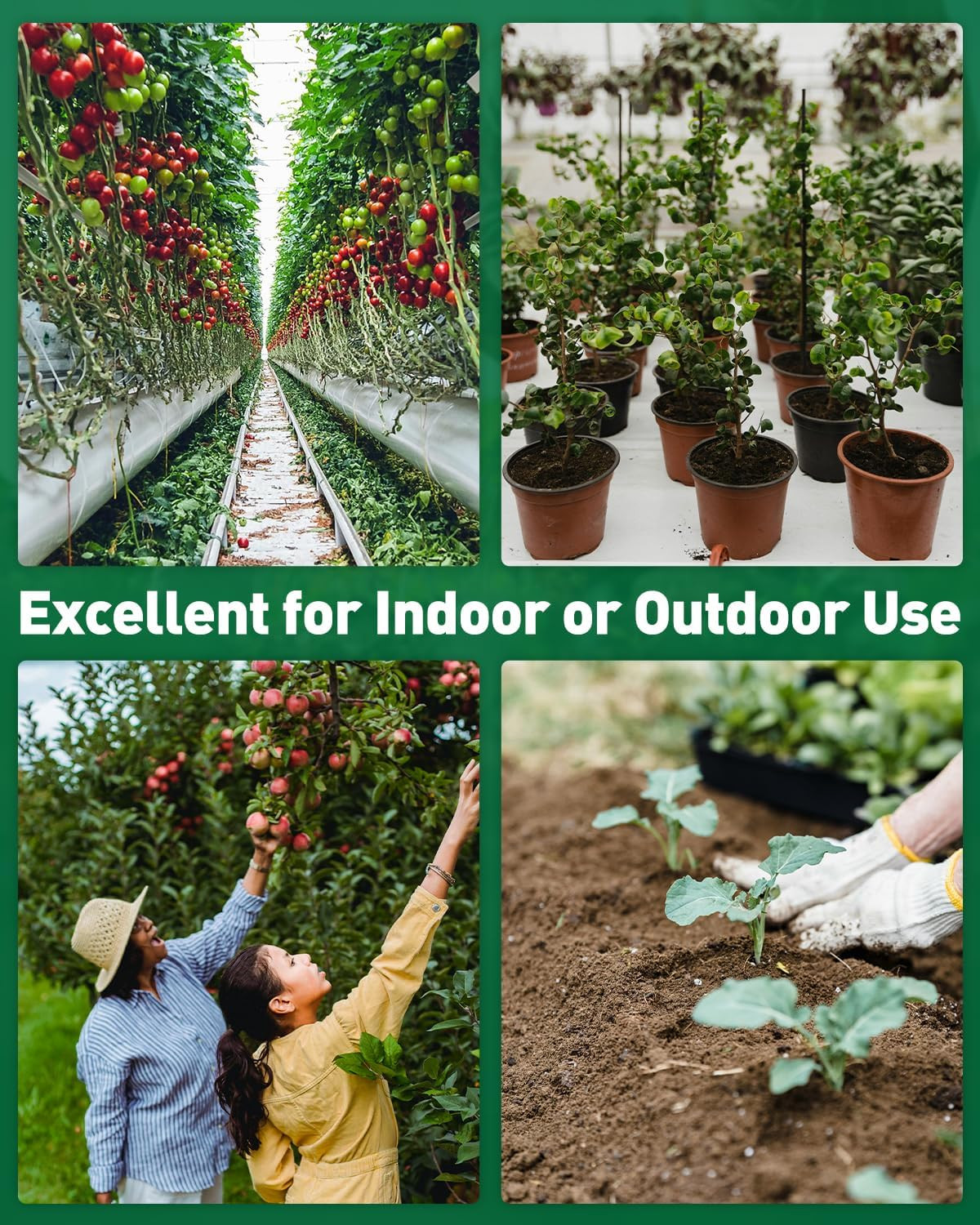 2 in 1 Soil Test Kit for Ph & Nitrogen, 150 Strips Soil Ph Test Kit, Soil Ph Tes