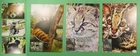 DR WHO 2009 INDIA 6 FDC MAXIMUM CARD ANIMAL R63865