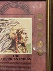 The American Indian "Vintage"  Framed Indian Head Penny 10 Coins Set