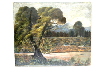 Ölgemälde Fluss Bergblick signiert FR Cole um 1892