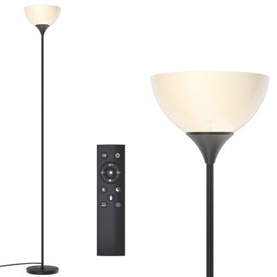 Floor Lamp Remote Control With Stpeless Color Temperatures And Brightness Torchi