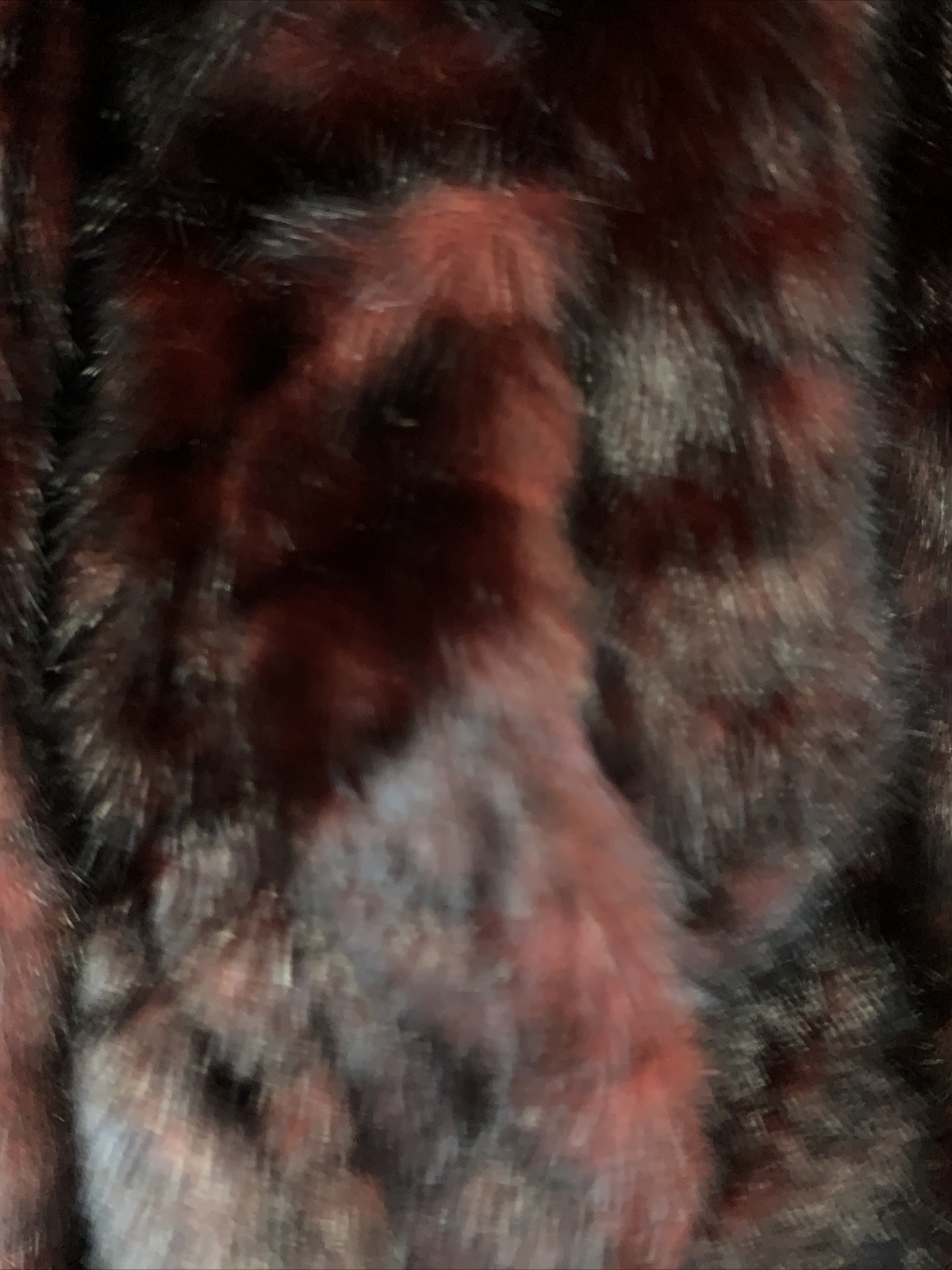 Picture 4 of 6