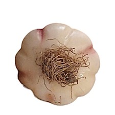 Aglio in Marmo Dipinto a Mano Scultura da Tavolo Home Decor Interior Design