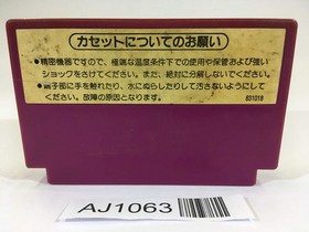 AJ1063 Spartan X Kung Fu Master NES Famicom Japan