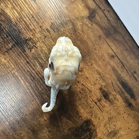 DOOM WowWee Fingerling Untamed Raptor Dinosaur Skeleton Dino TESTED WORKS 5"