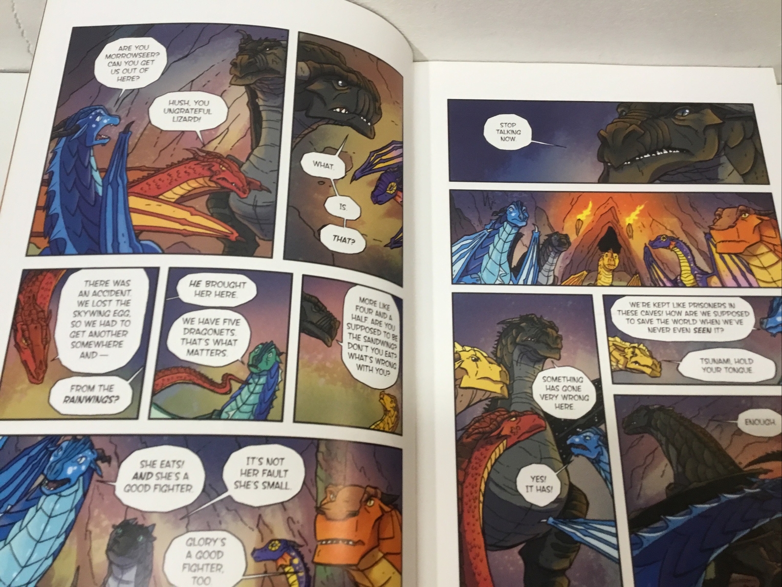 WINGS OF FIREBOOK 1 THE PROPHECY, BOOK 2 THE LOST HEIR